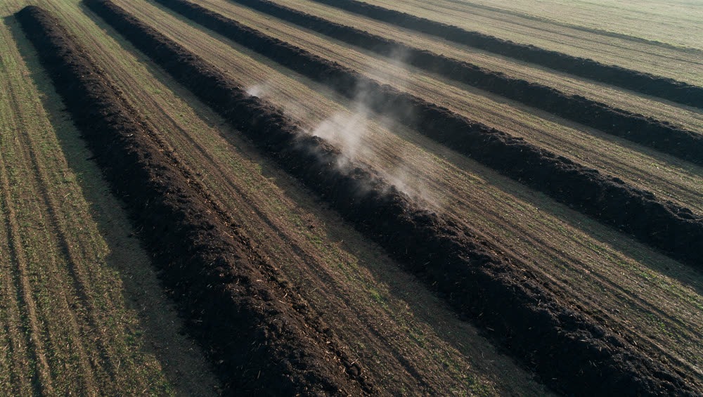 Compost windrows from above
